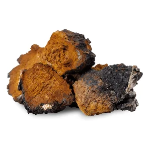 Food Grade Chaga Polysaccharide Extract for Health Supplements