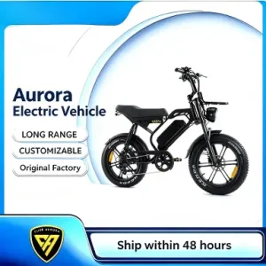 ODM Suspension Off Road Fat Wheel E-bike Manufacturer