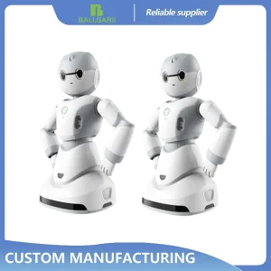 Service Robot Design