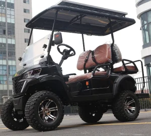 Solar-Powered Roof Golf Cart for Eco-Friendly Course Navigation