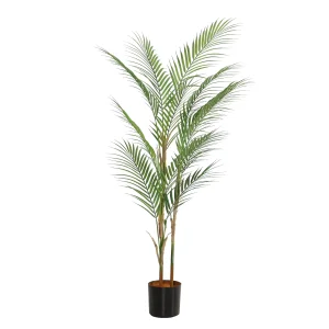 Realistic Plants Poland