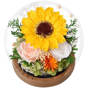 Glass Dome Preserved Roses