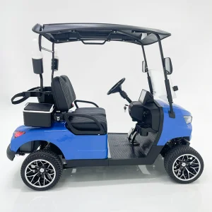 Compact Electric Cart