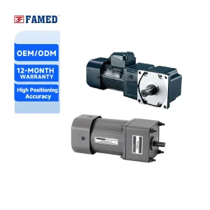High Torque 220V/380V Micro Geared Motor