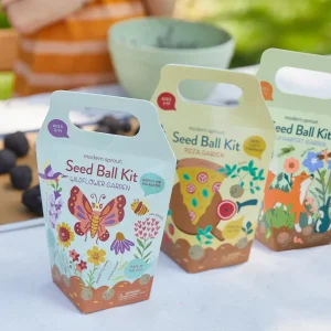 Wholesale Seed Ball Kits for Starting a Bountiful Garden