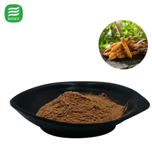 Pure Natural Cordyceps Extract
