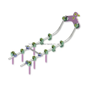 Cervical Pedicle Screw System