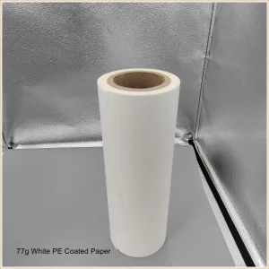 Papel Revestido