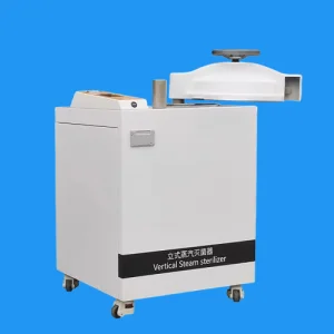 Advanced Steam Sterilization System for Medical Equipment Hygiene