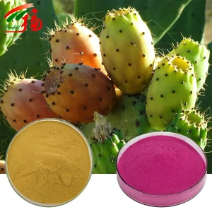 Cactus Extract