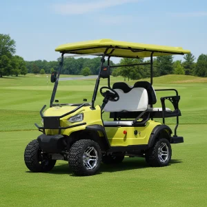 Mini Electric Golf Cart