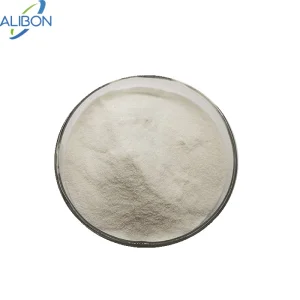 Best Selling Rice Protein Powder