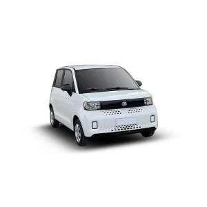 KINGSTAR Mini Coche