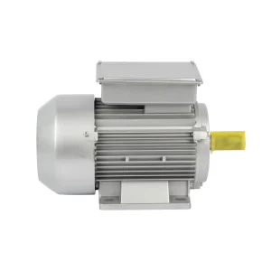 Single Phase Motor 220V