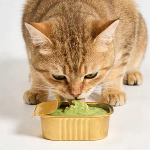 Natural Grain-Free Organic