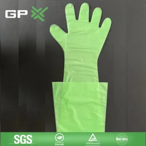 Custom Length Biodegradable Green Color Plastic PE PVC Single Use Industrial Gloves Catering Food Contact Sterile Disposable Gloves