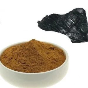 Pure Natural Shilajit Extract Powder