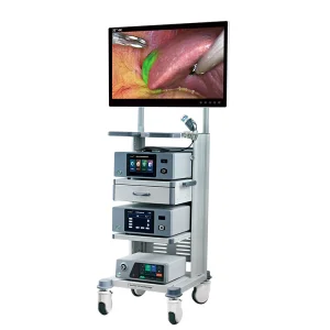 Fluorescence Imaging