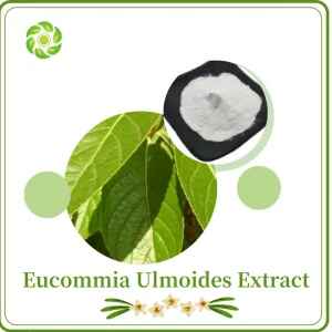 Eucommia Ulmoides Extract