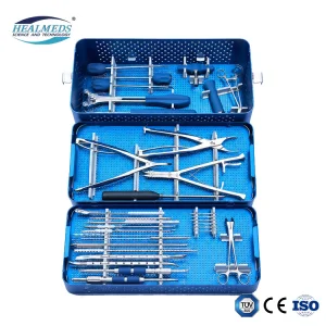Spinal Pedicle Screw System