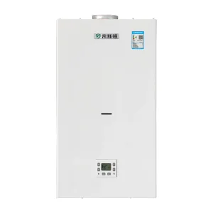 E1 Gas Boiler