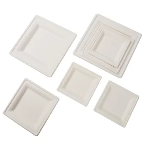 XS-FP10 10 Inch Square Plate Disposable Sugarcane Plates Eco-friendly Bagasse Degradable Plate