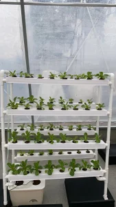 Nft Mini Garden PVC Hydroponics Growing System Kit for Home Use