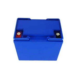 ABS Case 12V 52ah Lithium Iron Phosphate Forklift Trailer Trail Car Electric Wheelchairs Motorcycle LiFePO4 Battery Pack