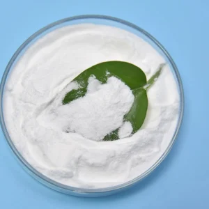 Lactobacillus Fermentum Food Ingredients From China Freeze-dried Probiotics Powder Original Manufacturer