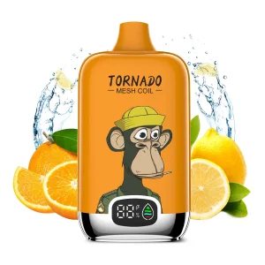 EU Warehouse Vaper Wholesale Rahdm Tornado 12K/15K 12000 15000 Puff Vaping Digital Disposable Vape Vapor Liquid 20ml with Reliable Mesh Coil 850mAh Vape Pen