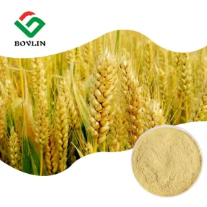 Wheat Peptide Hydrolyzed Protein