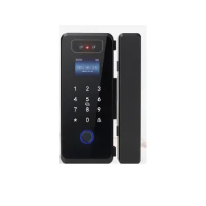 3D Face Recognition High Definition Camera Glass Door Smart Lock