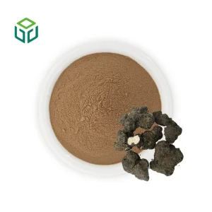 Food Grade Polyporus Umbellatus Extract Powder Polysaccharide Herbal Supplement 30%-50% Drum/Bottle Wholesale Bulk Supply