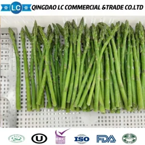Espárrago Verde