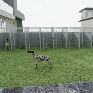 Portable Friendly Modular Dog Kennel Run