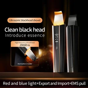 Professional Electric Facial Skin Peeling Sonic Cleaning Skin Scrubber