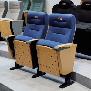 University School Lecture Auditorium Chair