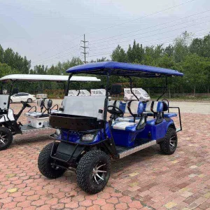 4+2 Seats 4 Wheel Drive Golf Cart
