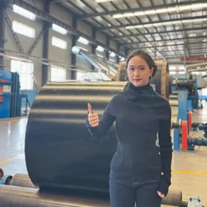 Mining, Quarry, Food &amp; Packaging Applications Durable Conveyor Belt | Heavy-Duty Industrial Belt