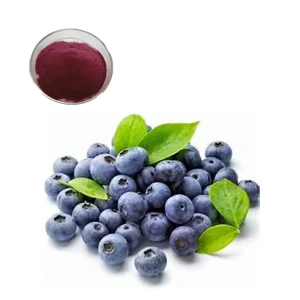 Blueberry Water Soluble Juice Powder