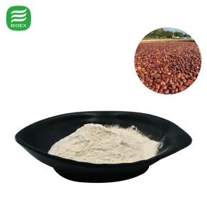 Premium Jujuboside a 2% to 5% Water Soluble Jujube Seed Extract