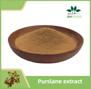 Purslane Extract