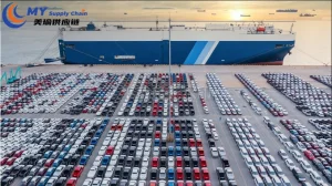 Affordable Sea Shipping Solutions From Shanghai to Jebel Ali