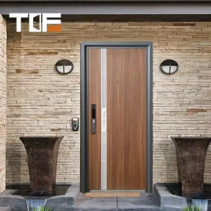 Luxury Entrance Door