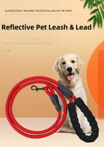 Reflective Leash Set