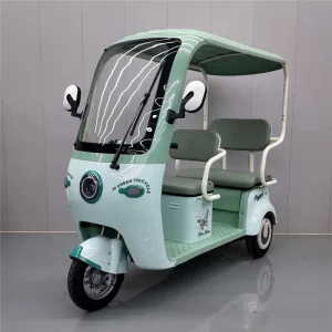 OEM China DS-1 Electric Tricycle