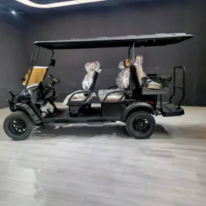 WELIFTRICH 6 Seater