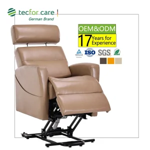 Recliner Sofa Height Adjustable Salon Beatuy Chair Electric Lift Chair for Living Room Furniture
