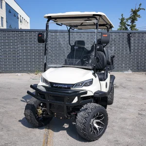 Multifunctional Golf Cart