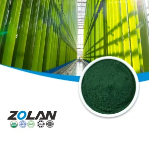 Premium Organic Spirulina Powder
